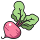 Root Vegetable