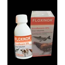 Floxinor (100l) Antibacterial