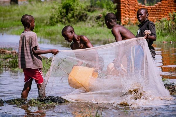 The future of fish in Africa towards healthy and sustainable diet by 2050
