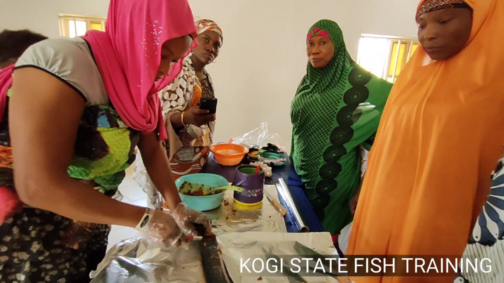 ⁣Kogi State - Practical Fish Farming Value Chain Training for Youth & Women - Nigeria